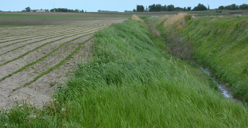 draining ditch in field draining ditch in field