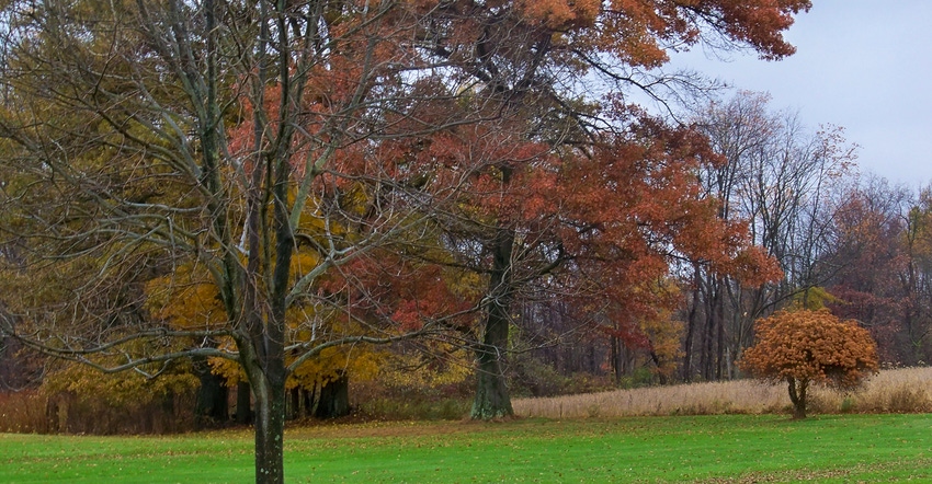 Lansdcape view of autumn scene