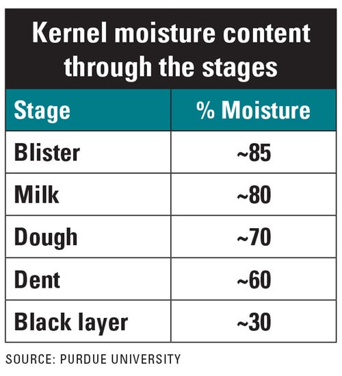  kernel moisture contenet