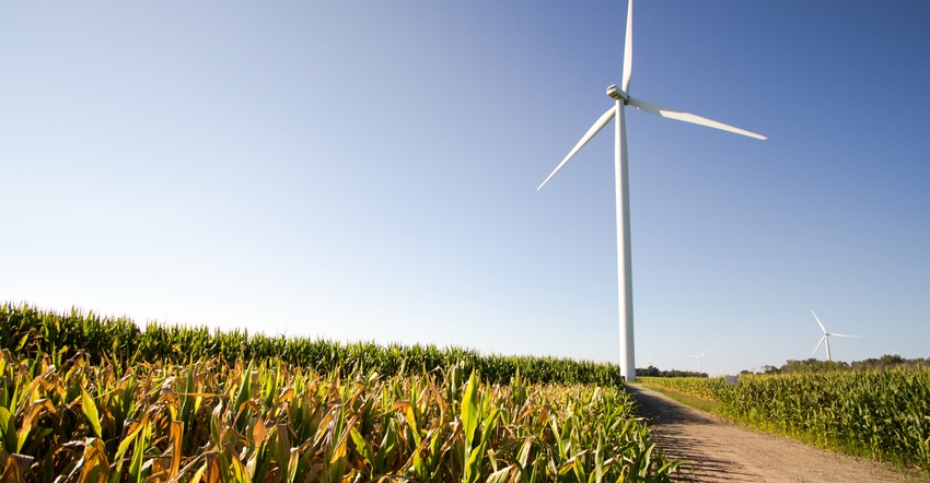 Large wind turbine in a cornfield 