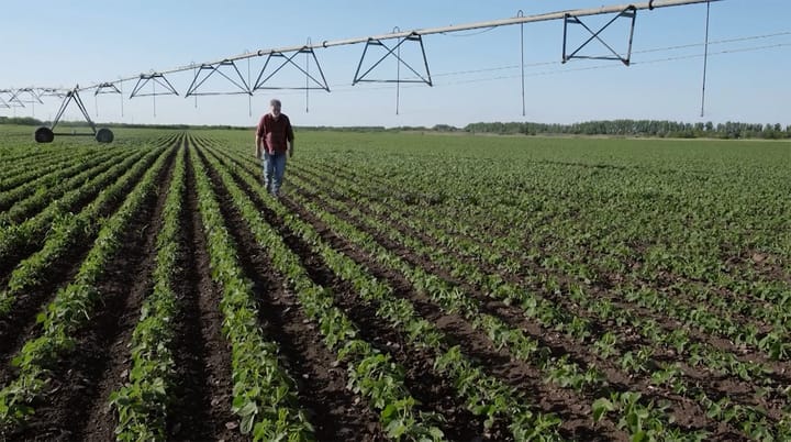 This Week in Agribusiness, June 20, 2026