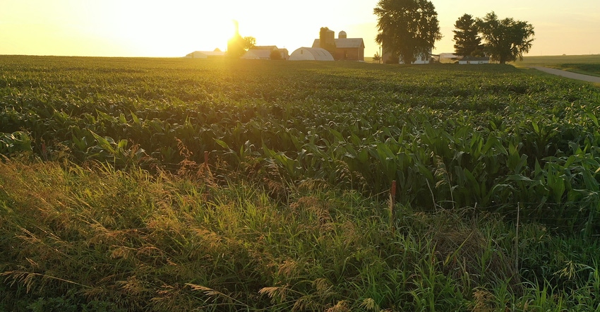 rural farm scene at sunset
