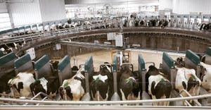 robotic rotary milking system at Oakfield Corners Dairy in Oakfield, N.Y.
