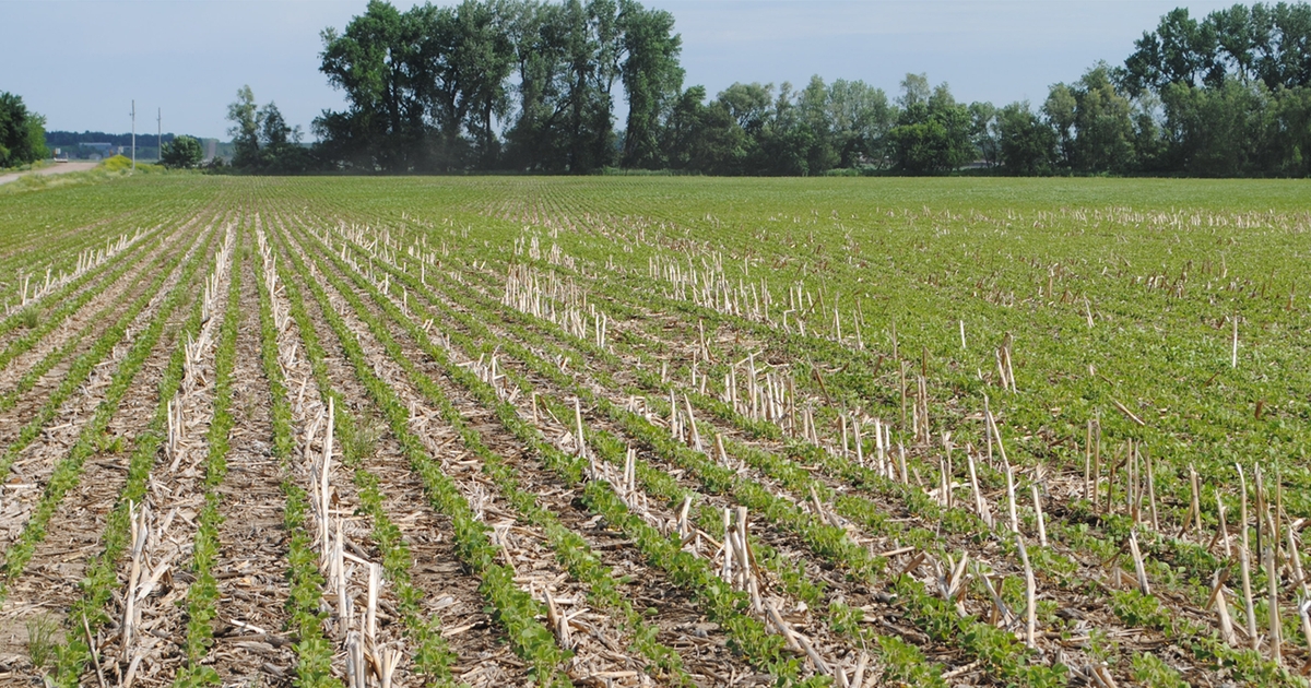 Nebraska land values continue to rise