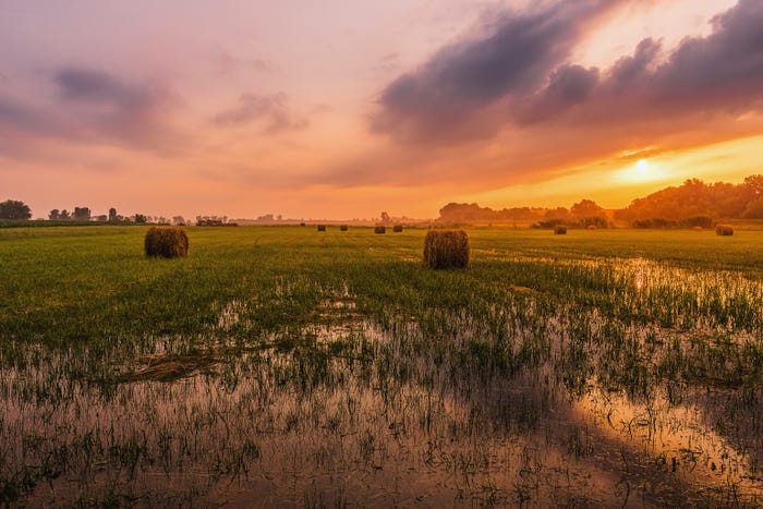 A wet field with hay bales pictured under a sun set