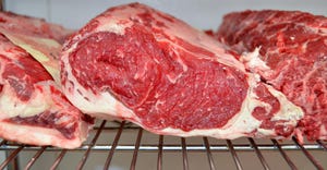 Raw ribeye steaks sitting on a metal rack in a meat locker