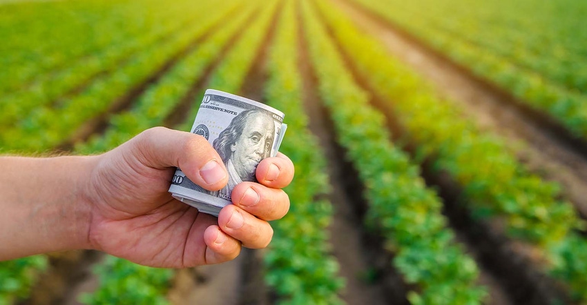 Dollar bills in the hands of a farmer on a background of plantation.