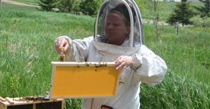 Niki Backes of Reading, Mich., demonstrates how to introduce a new queen May 22 during the Great Lakes Bee Co.’s demo day F