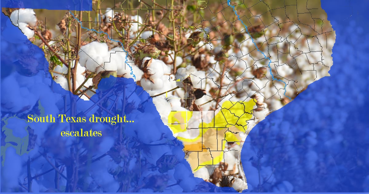 South Texas drought escalates, burn bans issued