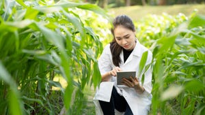 Woman researcher in corn field