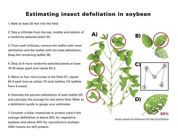graphic to estimate soybean defoliation