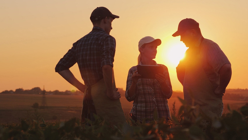 Three farmers talking with sunset background Three farmers talking with sunset background
