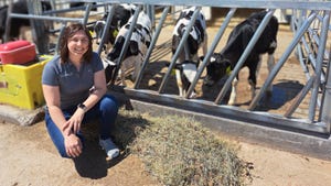 Janet Clark kneels in front of a pen of Holstein calves