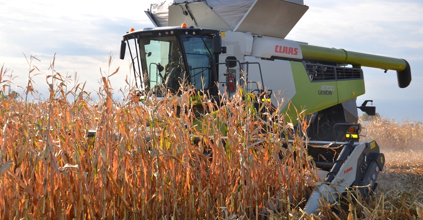 CLAAS combine harvesting corn