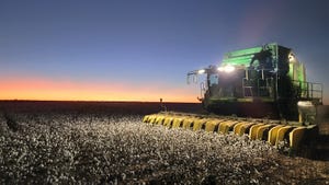 cotton-stripper-sunset-23-williams-family-farms