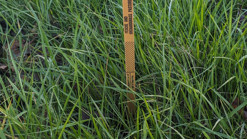 A grazing stick in pasture
