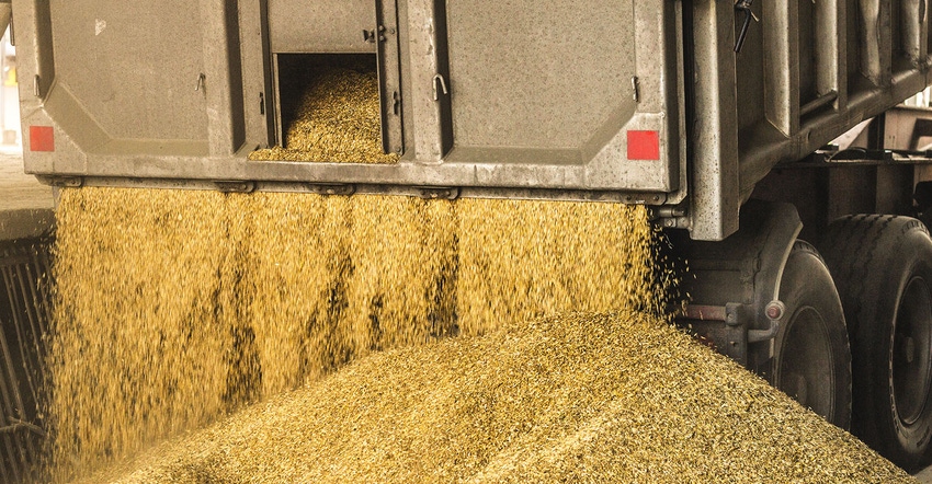 Truck unloading grain