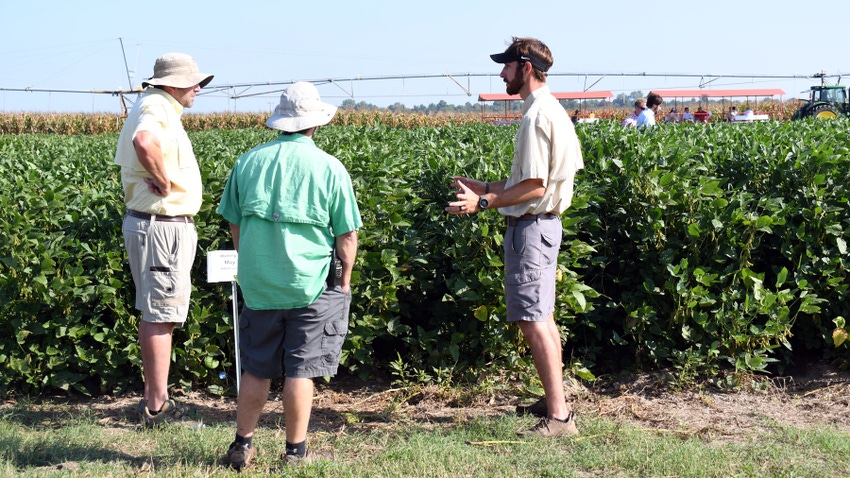 Three men having a conversation in front of a soybean field at a field day with othe attendees in the background.