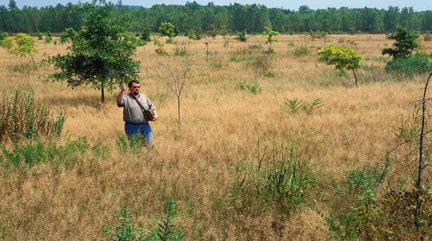 WFP-ARS-rabbit-researcher.jpg