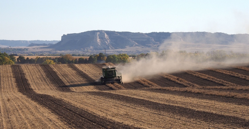 Beans being harvested