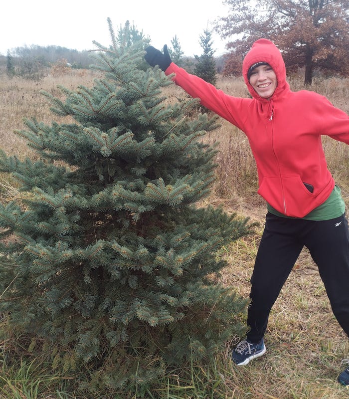 Person posed by tree at a Christmas tree farm
