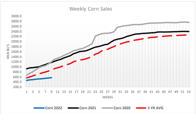 weekly corn sales