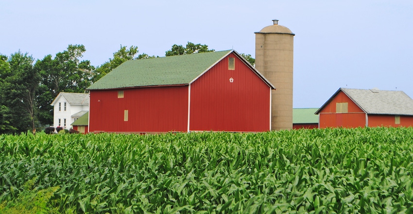 red barn behind green corn field