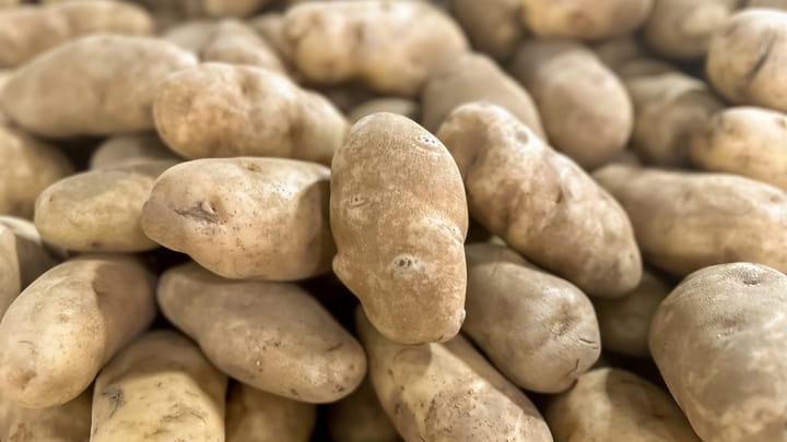 USDA updates potato wart rules for Prince Edward Island