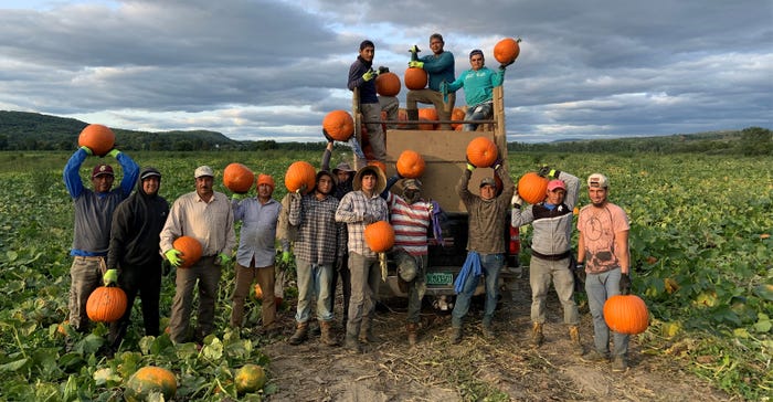 Group of workers holding pumpkins at Newmont Farm