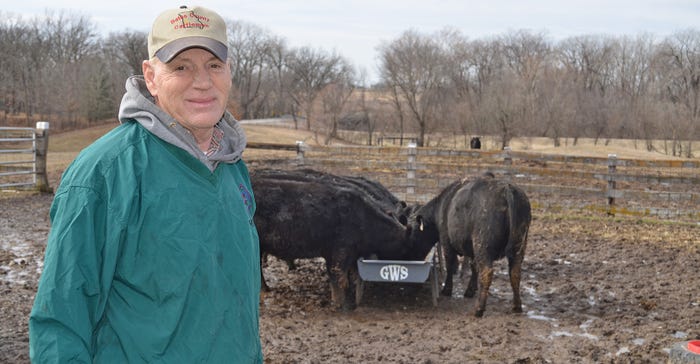 David Warfield stands near beef cattle