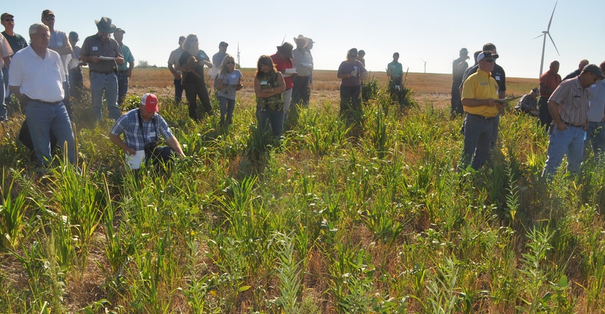 Farmers and ranchers can learn more about the benefits of regenerative agriculture practices at field days like this one in s Farmers and ranchers can learn more about the benefits of regenerative agriculture practices at field days like this one in s