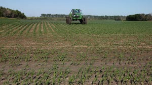 John Deere sprayer driving through cornfield