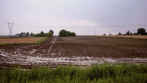  Evidence of excessive rainfall in a Midwest field