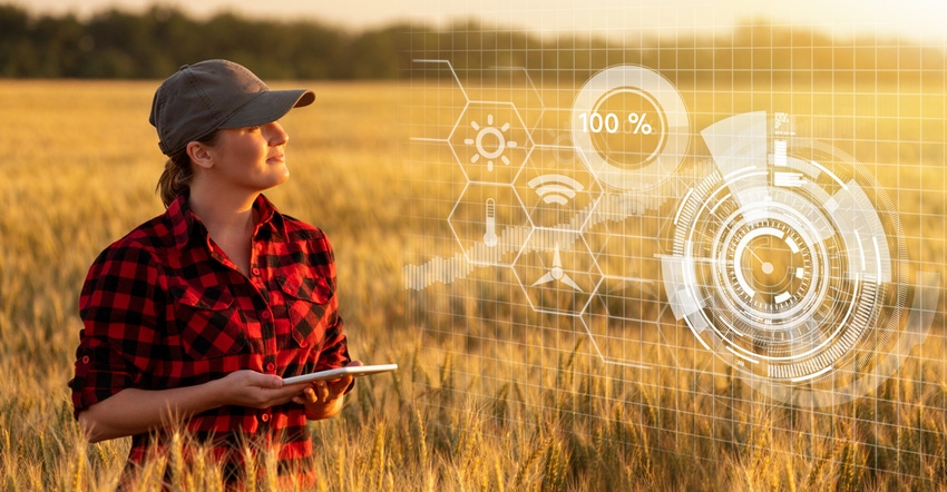 A female farmer examines the wheat field and sends data to the cloud from the tablet