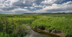 Creek and prairie grass with mountains in the distance near Lewistown, Montana.