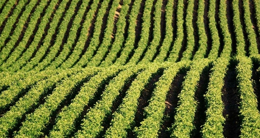 WFP-UC-nitrogen.jpg WFP-UC-nitrogen.jpg