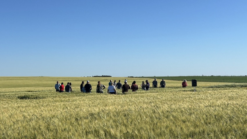 Agri Pro, Polansky Seed and NU Horizons Genetics representatives were at the 2024 Winter Wheat Variety Tour in Jefferson County, Neb
