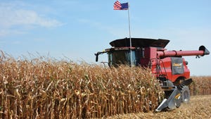 Combines, tractors and grain carts harvest the show site’s corn crop