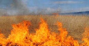 Fire in a field