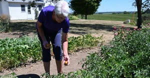 2022 Iowa Master Farm Homemaker Patricia Westphal attends to her garden on the family farm 