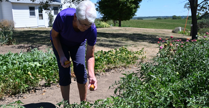 2022 Iowa Master Farm Homemaker Patricia Westphal attends to her garden on the family farm 2022 Iowa Master Farm Homemaker Patricia Westphal attends to her garden on the family farm