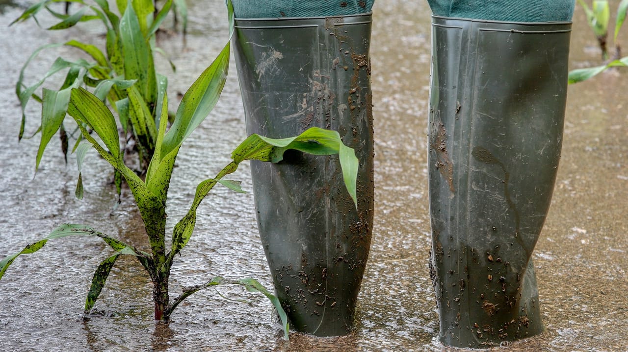 Farm Progress Show 2026 Set For Boone Iowa farm-progress-show-2026-set-for-boone-iowa