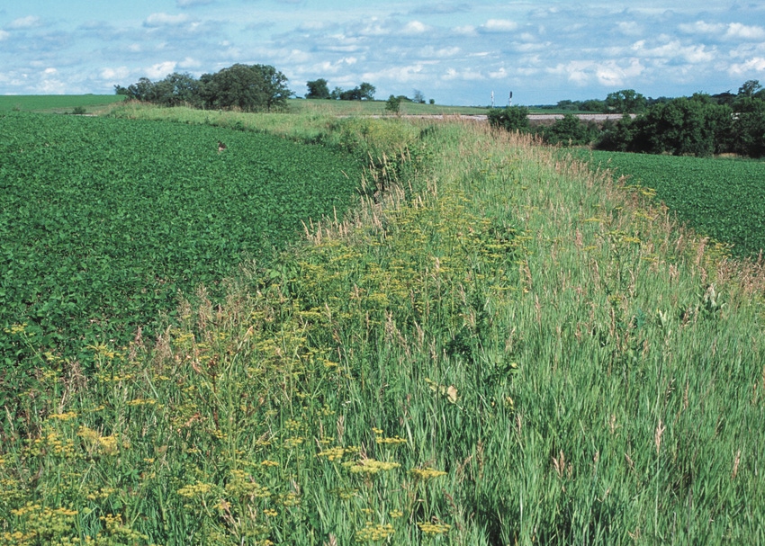 eqip-conservation-NRCSWI00010.jpg eqip-conservation-NRCSWI00010.jpg