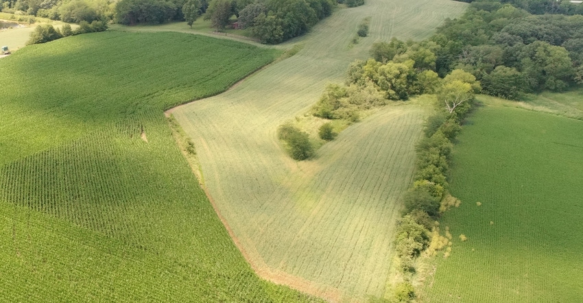 An aerial view of the northeast portion of a central Iowa farm that was converted to hay.