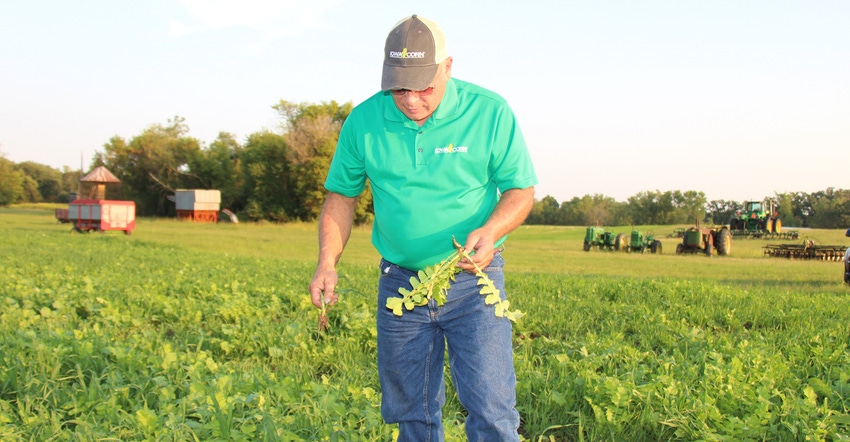 Jim Greif in field holding cover crops in hand