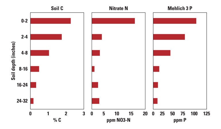 Soil profile carbon, nitrogen, and phosphorus concentrations from a field sampled on a dairy farm in central Pennsylvania