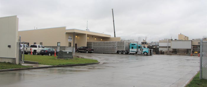 Semi trucks deliver cattle dairy cows to American Foods Group in Green Bay, Wisconsin