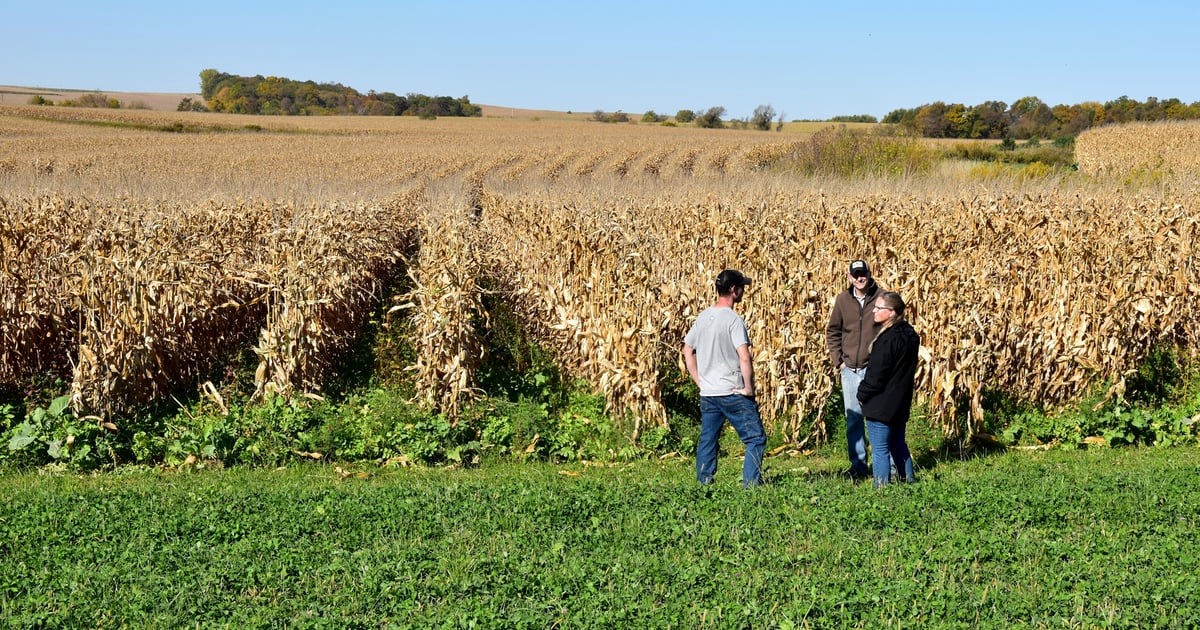 Try interseeding cover crops early | Farm Progress