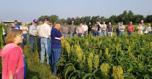 Farmers tour experimental plots in Kansas used to evaluate the effects of planting mung beans and zinnias with milo