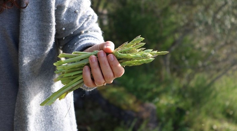 WFP-ARS-asparagus.jpg